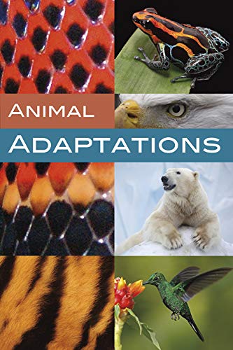 9781474792646: Animal Adaptations (On Topic)