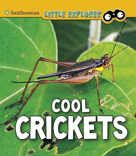 Stock image for Cool Crickets [No Binding ] for sale by booksXpress