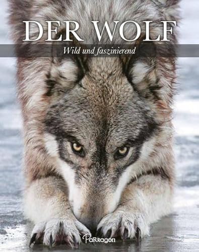 Der Wolf - wild und faszinierend - Parragon