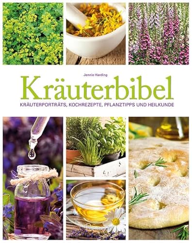 Beispielbild fr Kruterbibel: Kruterportrts, Kochrezepte, Pflanztipps und Heilkunde zum Verkauf von medimops