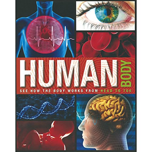 Stock image for Human Body [Hardcover] [Jan 01, 2016] Parragon India for sale by dsmbooks