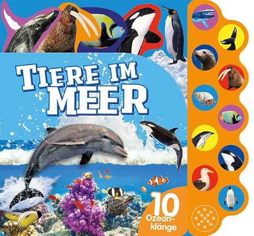 Beispielbild fr Tiere im Meer - Soundbuch: 10 Ozeanklnge zum Verkauf von medimops