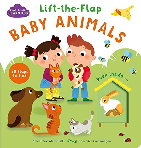 Imagen de archivo de Lift-the-flap Baby Animals (Start Little Learn Big) a la venta por Irish Booksellers