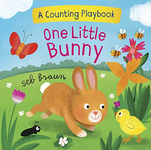 9781474899543: One Little Bunny: A Counting Playbook (Novelty Board)