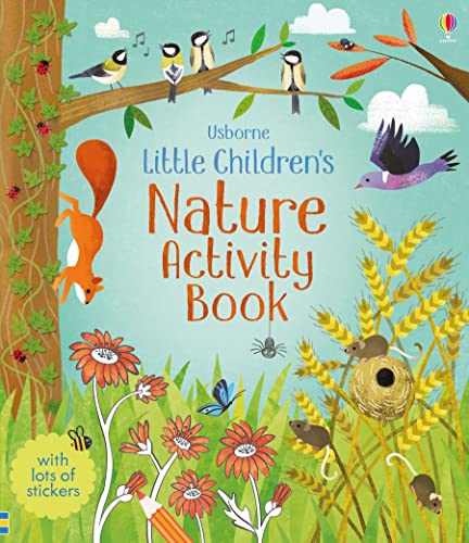 Stock image for Little Childrens Nature Activity Book for sale by Big River Books