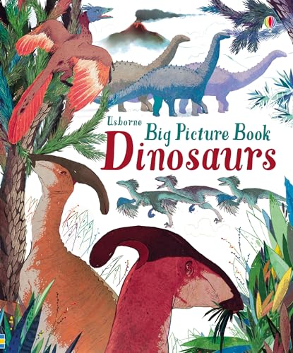 Stock image for Big Picture Book Dinosaurs for sale by AwesomeBooks