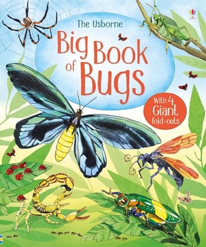 Imagen de archivo de Big Book of Bugs (Big Books) (Big Books of Big Things) a la venta por AwesomeBooks