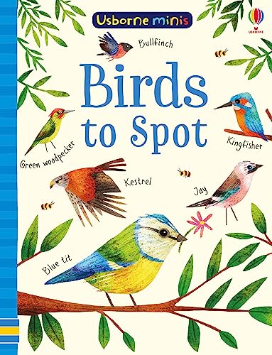 9781474952156: Birds to Spot (Usborne Minis)
