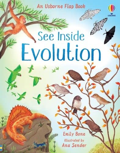 Beispielbild fr See Inside Evolution zum Verkauf von AwesomeBooks