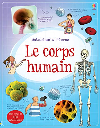 Beispielbild fr Le corps humain - Documentaire en autocollants zum Verkauf von Buchpark