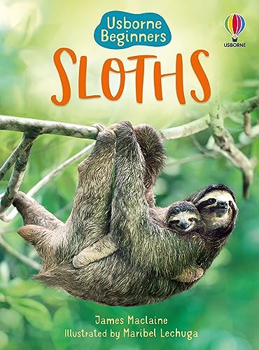 Stock image for Sloths for sale by Blackwell's