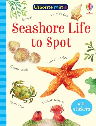 Stock image for Seashore Life to Spot (Usborne Mini Books): 1 (Usborne Minis) for sale by WorldofBooks