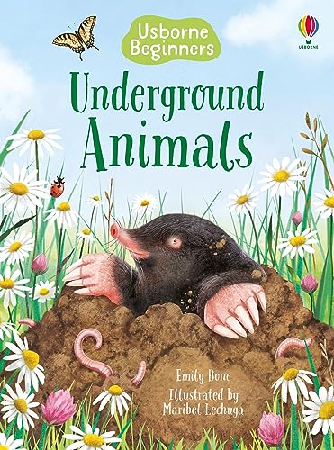 Stock image for Underground Animals for sale by Blackwell's