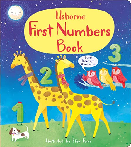 Imagen de archivo de First Numbers: 1 (First Concepts) a la venta por WorldofBooks