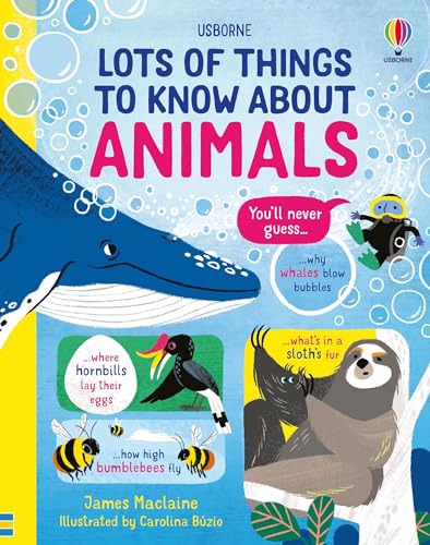 9781474990752: Lots of things to know about Animals