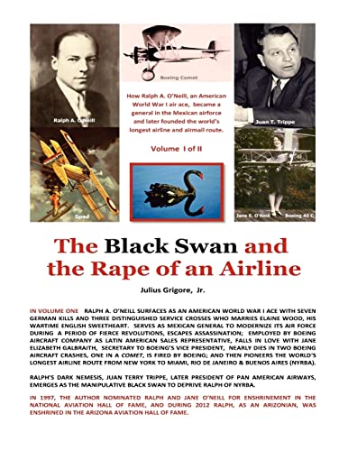 Stock image for The Black Swan and the Rape of an Airline for sale by Lucky's Textbooks