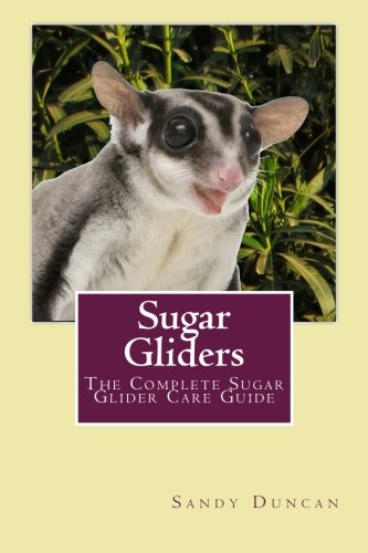 Imagen de archivo de Sugar Gliders: The Complete Sugar Glider Care Guide a la venta por SecondSale