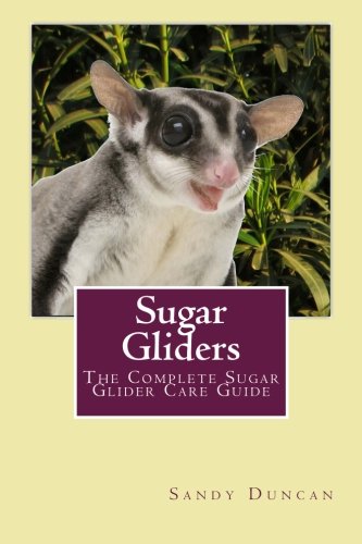 Stock image for Sugar Gliders: The Complete Sugar Glider Care Guide for sale by HPB-Movies