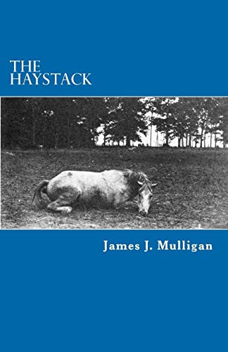 Beispielbild fr The Haystack: A Novel zum Verkauf von Wonder Book