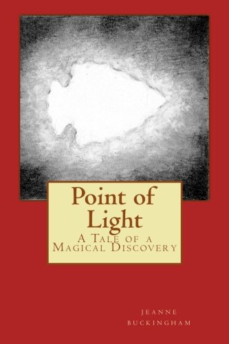 9781475239911: point of light