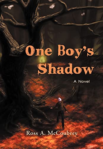 9781475903577: One Boy's Shadow