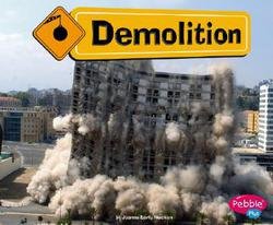 Stock image for Demolition for sale by Wonder Book