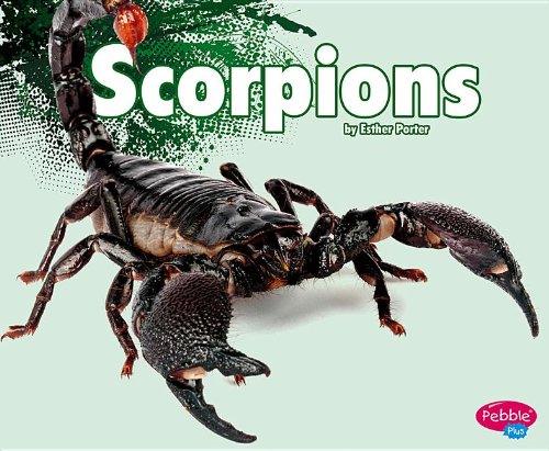 Beispielbild fr Scorpions zum Verkauf von Better World Books