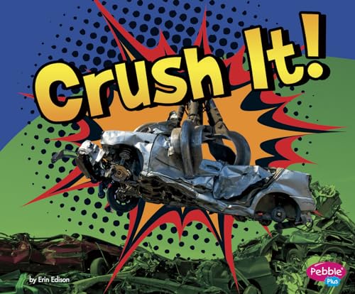 Stock image for Crush It! for sale by Kennys Bookshop and Art Galleries Ltd.
