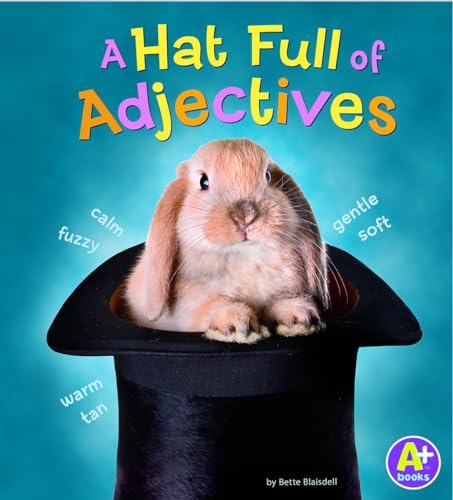 Stock image for A Hat Full of Adjectives (Words I Know) for sale by Kennys Bookshop and Art Galleries Ltd.