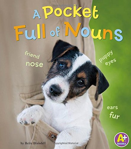 9781476550985: A Pocket Full of Nouns (Words I Know)