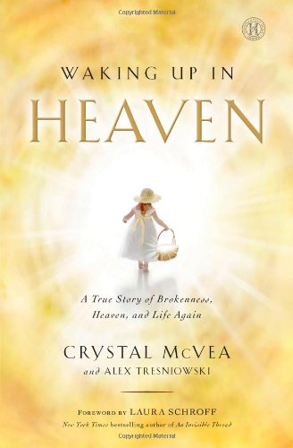 Beispielbild fr Waking Up in Heaven: A True Story of Brokenness, Heaven, and Life Again zum Verkauf von Wonder Book