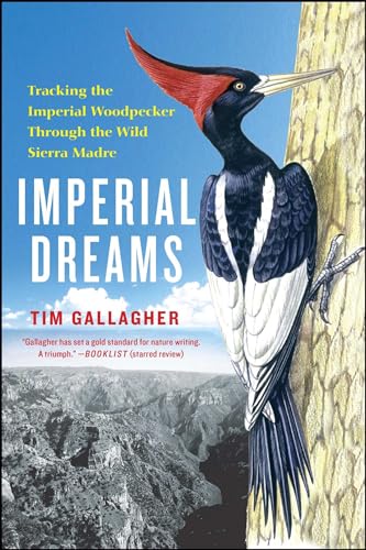 Stock image for Imperial Dreams: Tracking the Imperial Woodpecker Through the Wild for sale by ThriftBooks-Atlanta