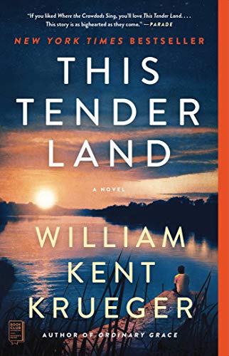 Stock image for This Tender Land: A Novel for sale by KuleliBooks