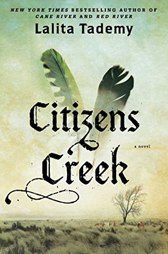 9781476753034: Citizens Creek: A Novel