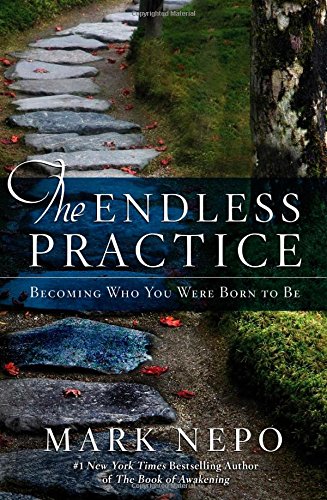 Beispielbild fr The Endless Practice: Becoming Who You Were Born to Be zum Verkauf von Wonder Book