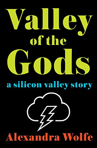 Stock image for Valley of the Gods : A Silicon Valley Story for sale by Better World Books