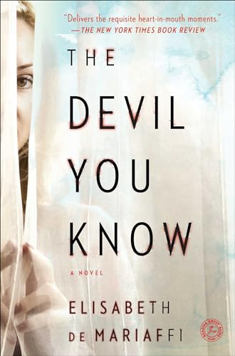 Imagen de archivo de The Devil You Know : A Novel a la venta por Better World Books