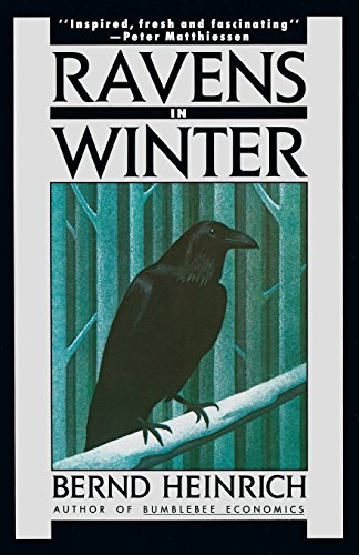 9781476782348: Raven In Winter