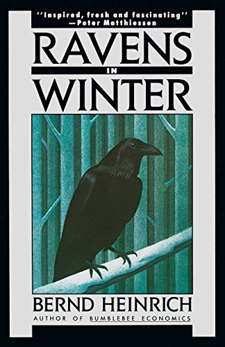 9781476782348: Ravens In Winter