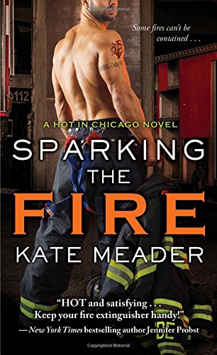 Beispielbild fr Sparking the Fire (Hot in Chicago) zum Verkauf von Wonder Book