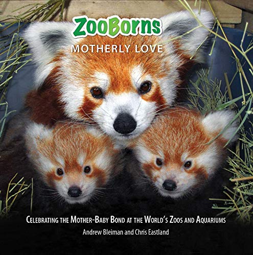 Beispielbild fr ZooBorns Motherly Love: Celebrating the Mother-Baby Bond at the World's Zoos and Aquariums zum Verkauf von SecondSale