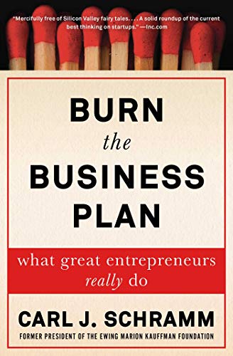 Beispielbild fr Burn the Business Plan : What Great Entrepreneurs Really Do zum Verkauf von Better World Books