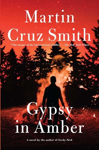 9781476795881: Gypsy in Amber (Roman Grey Novels)