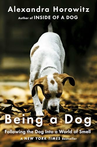 Beispielbild fr Being a Dog : Following the Dog into a World of Smell zum Verkauf von Better World Books