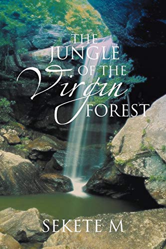 Stock image for The Jungle of the Virgin Forest for sale by Chiron Media