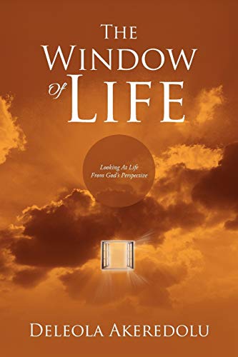 Stock image for The Window Of Life: Looking At Life From God's Perspective for sale by Chiron Media