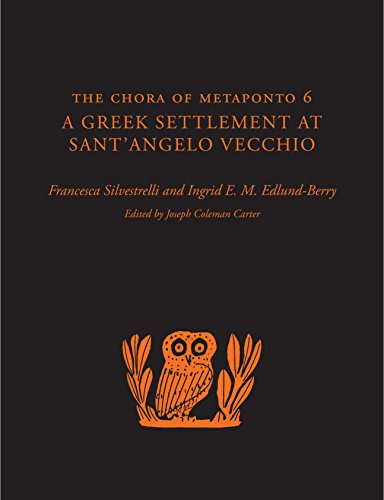 Imagen de archivo de The Chora of Metaponto 6 A Greek Settlement at Sant`Angelo Vecchio a la venta por Revaluation Books