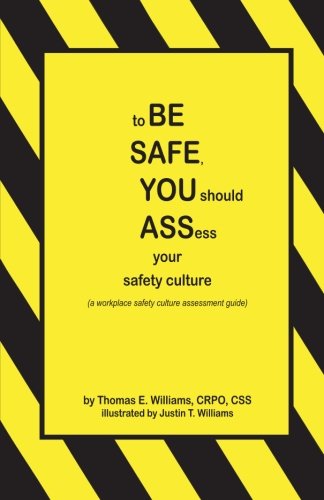 Imagen de archivo de To BE SAFE, YOU Should ASSess Your Safety Culture : A Workplace Safety Culture Assessment Guide a la venta por Better World Books