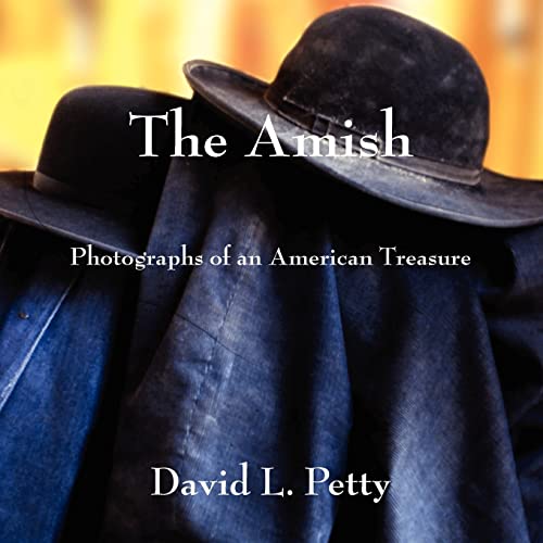 Stock image for The Amish: Photographs of an American Treasure for sale by ThriftBooks-Atlanta