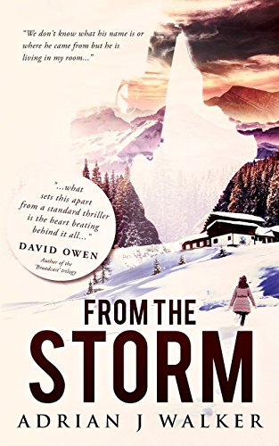 9781477699614: From The Storm [Lingua Inglese]